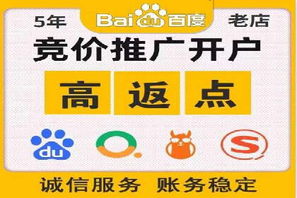 竞价广告投放技巧与案例分析